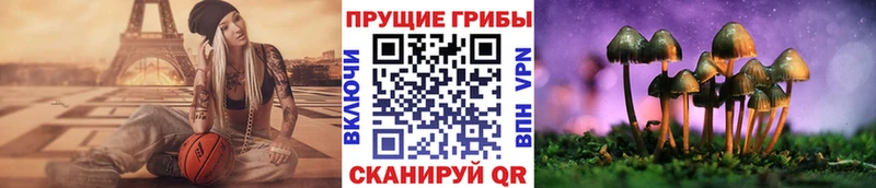 Галлюциногенные грибы мухоморы  дарнет шоп  площадка состав  Балабаново 